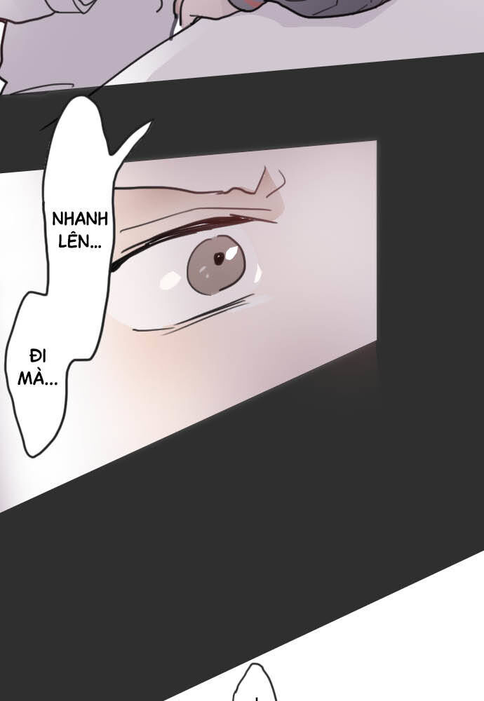 Hoa Cánh Sao Chapter 20 - Trang 2