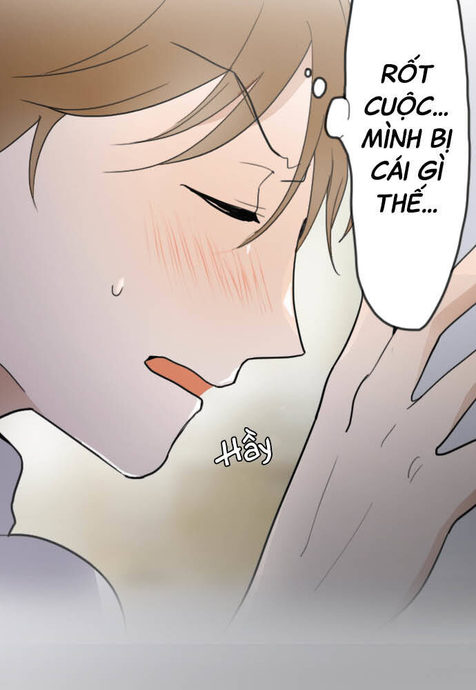 Hoa Cánh Sao Chapter 21 - Trang 2