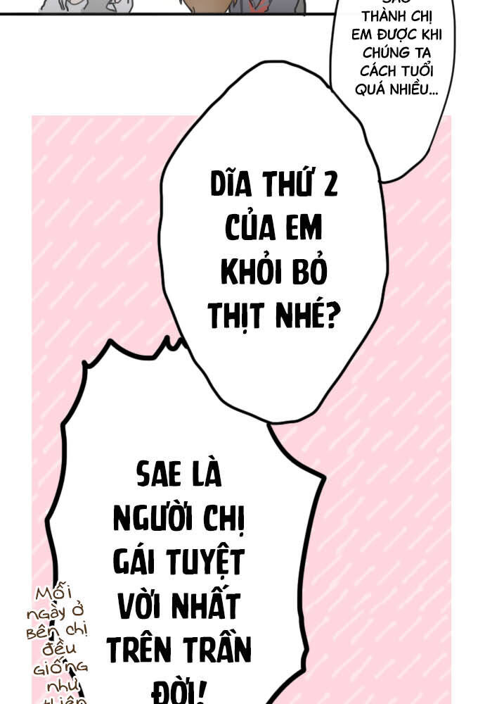 Hoa Cánh Sao Chapter 22 - Trang 2