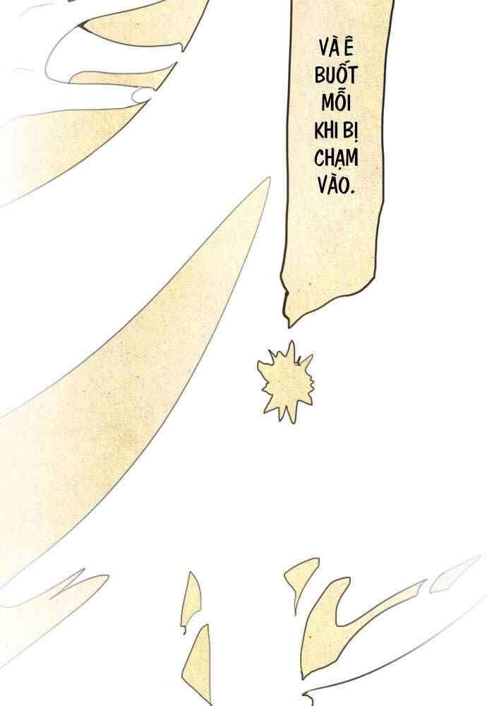 Hoa Cánh Sao Chapter 22 - Trang 2