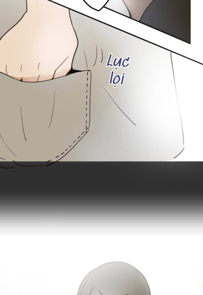 Hoa Cánh Sao Chapter 22 - Trang 2