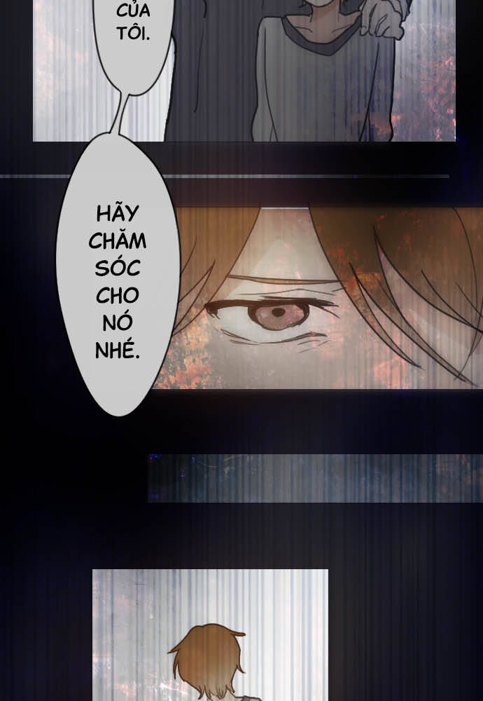 Hoa Cánh Sao Chapter 22 - Trang 2