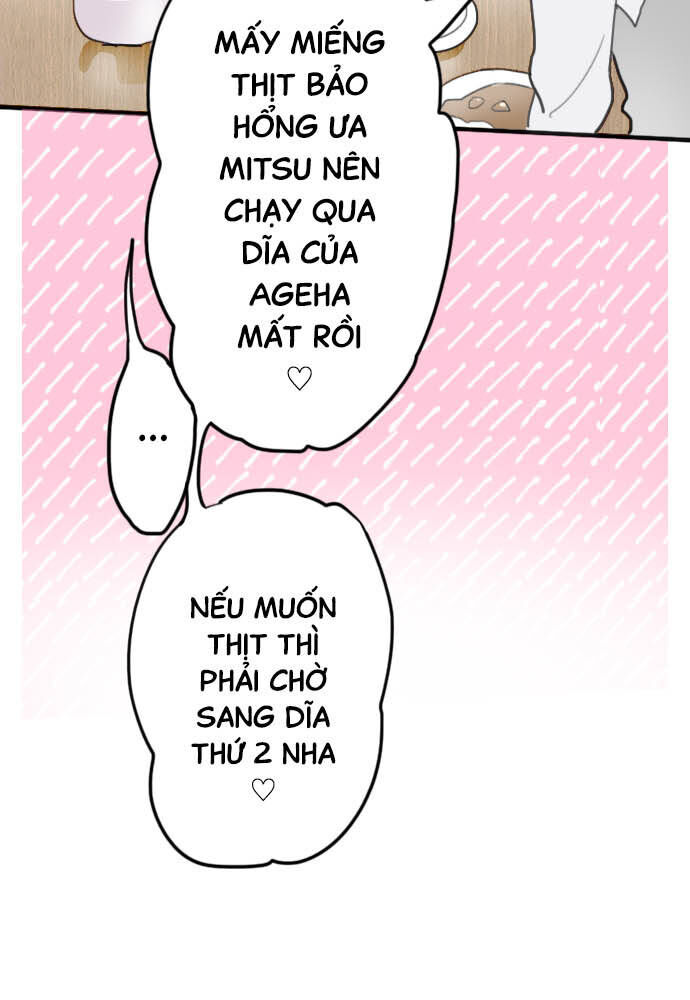 Hoa Cánh Sao Chapter 22 - Trang 2