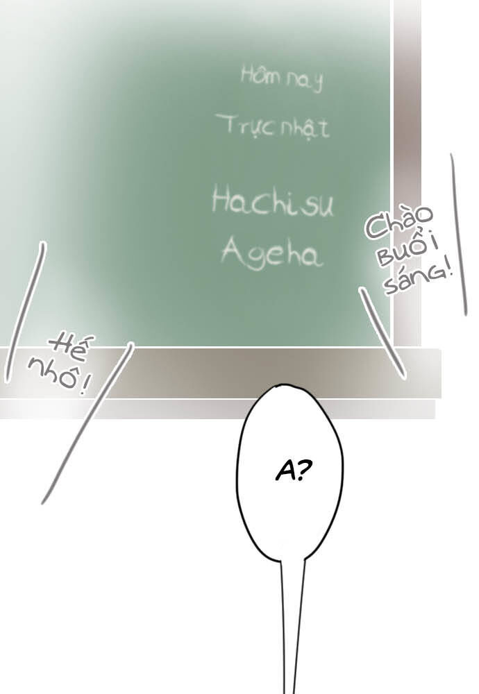 Hoa Cánh Sao Chapter 24 - Trang 2