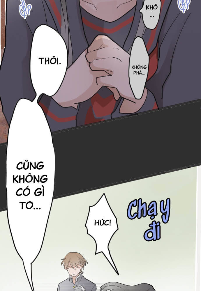 Hoa Cánh Sao Chapter 24 - Trang 2