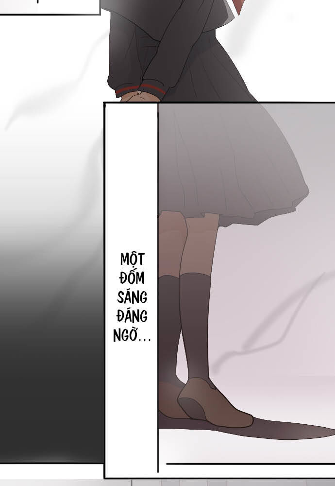 Hoa Cánh Sao Chapter 26 - Trang 2
