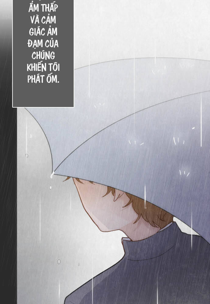 Hoa Cánh Sao Chapter 27 - Trang 2
