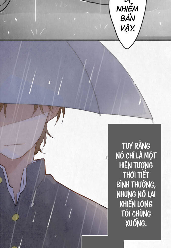 Hoa Cánh Sao Chapter 27 - Trang 2