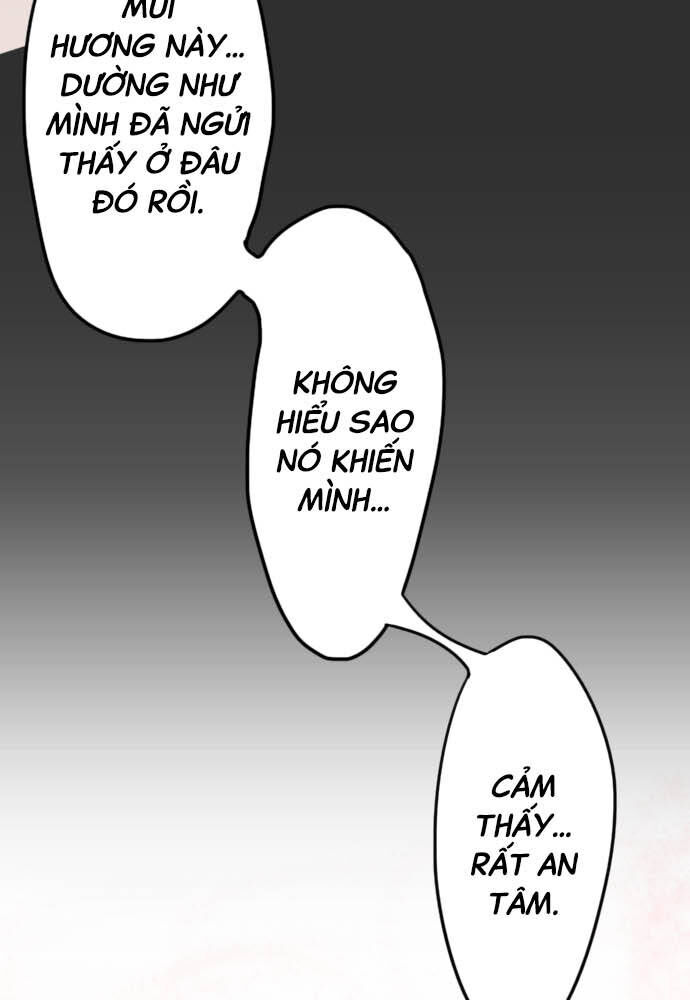 Hoa Cánh Sao Chapter 28 - Trang 2