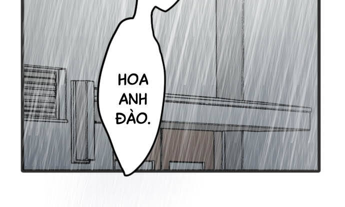 Hoa Cánh Sao Chapter 28 - Trang 2