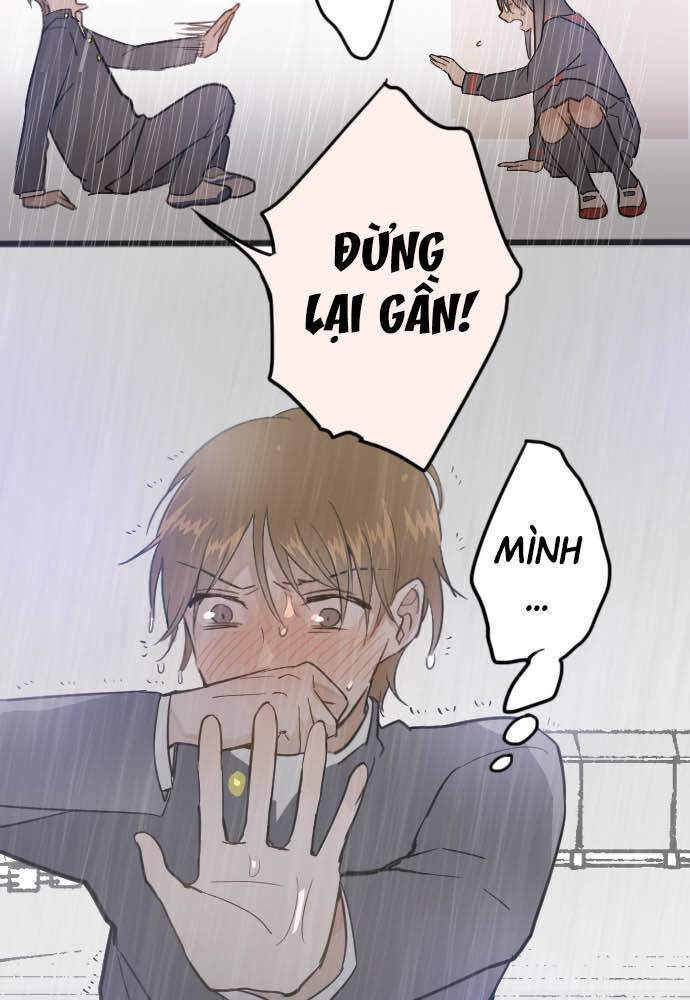 Hoa Cánh Sao Chapter 28 - Trang 2