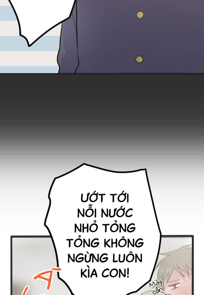 Hoa Cánh Sao Chapter 28 - Trang 2