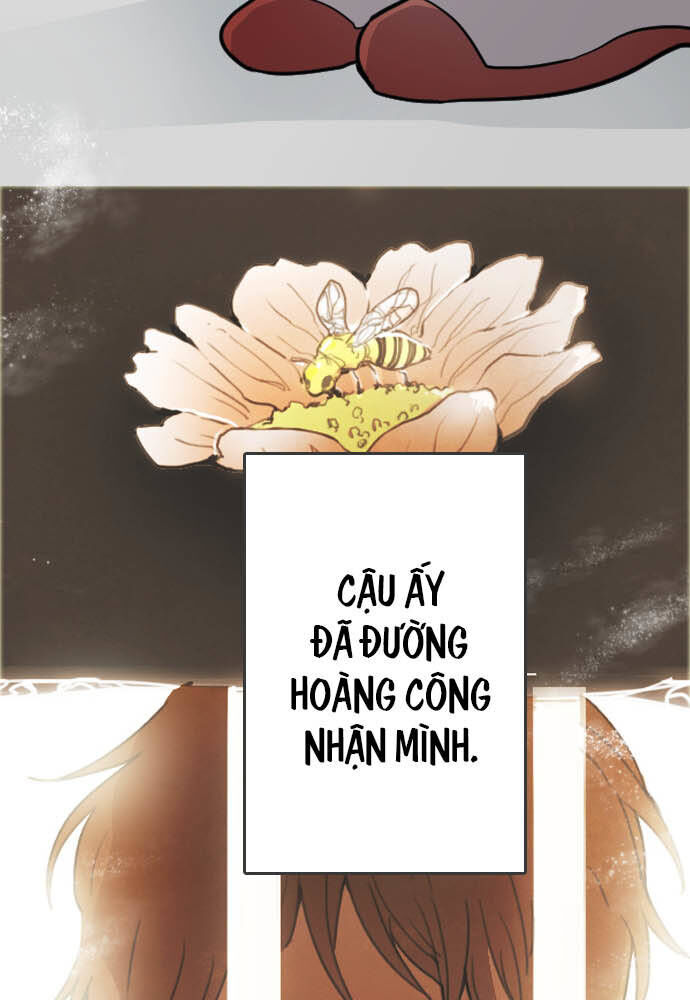 Hoa Cánh Sao Chapter 29 - Trang 2