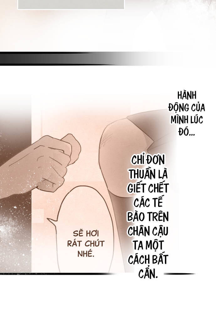 Hoa Cánh Sao Chapter 30 - Trang 2