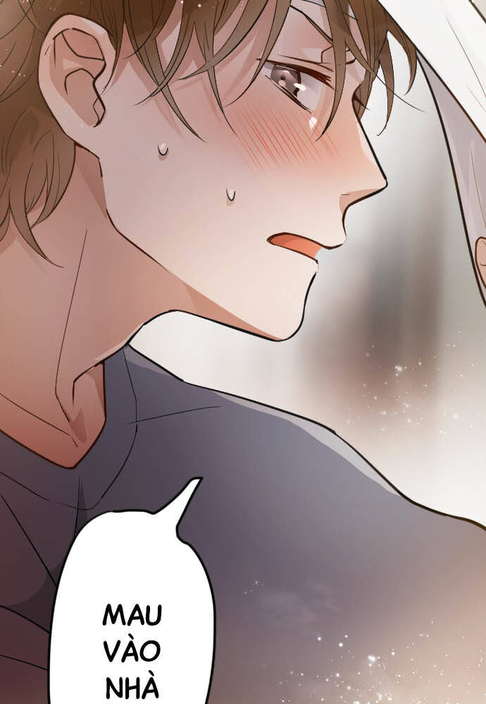 Hoa Cánh Sao Chapter 30 - Trang 2