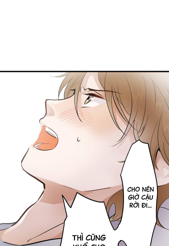 Hoa Cánh Sao Chapter 31 - Trang 2