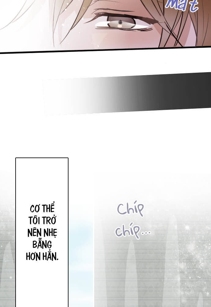 Hoa Cánh Sao Chapter 33 - Trang 2