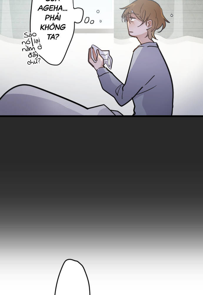 Hoa Cánh Sao Chapter 33 - Trang 2