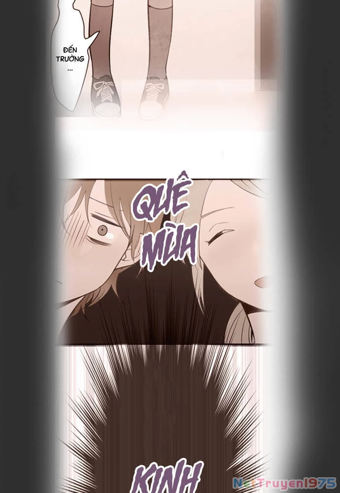 Hoa Cánh Sao Chapter 37 - Trang 2