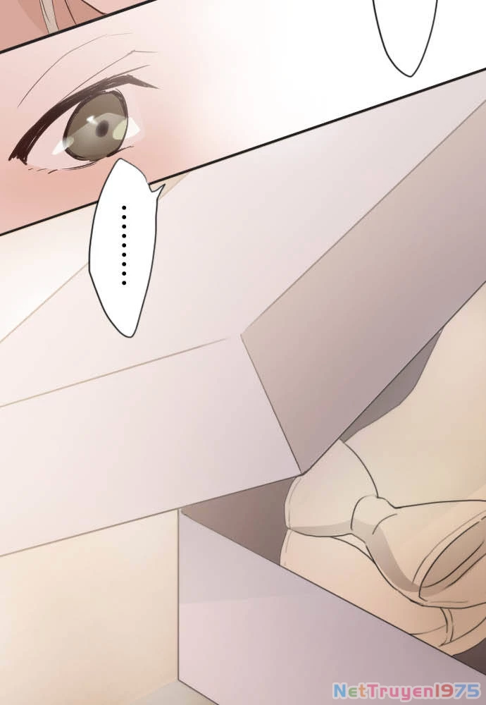 Hoa Cánh Sao Chapter 37 - Trang 2