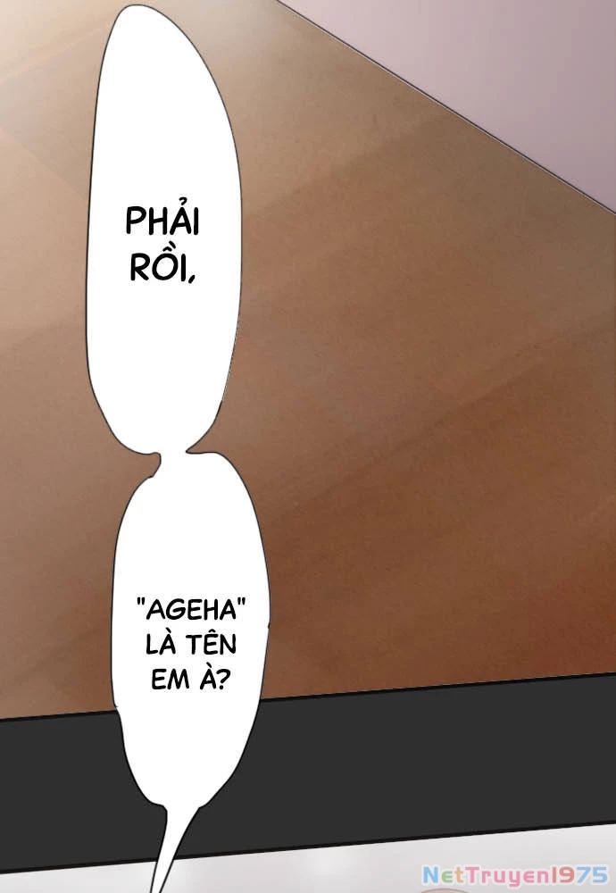 Hoa Cánh Sao Chapter 37 - Trang 2