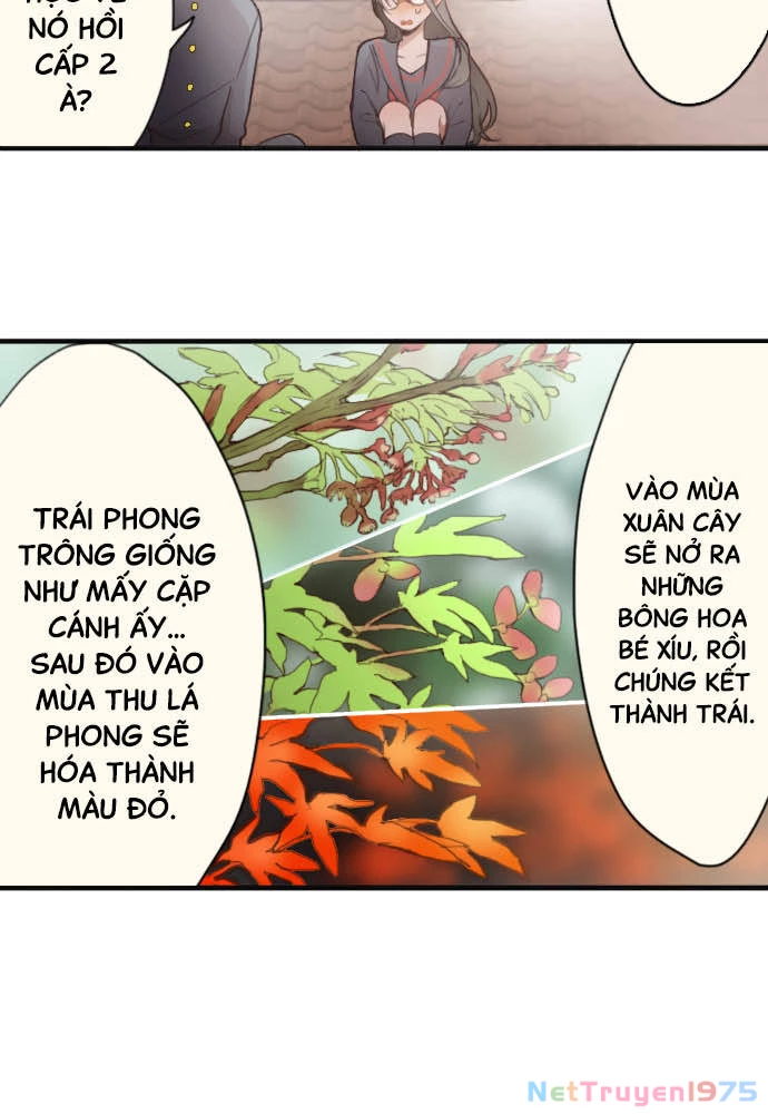 Hoa Cánh Sao Chapter 38.5 - Trang 2