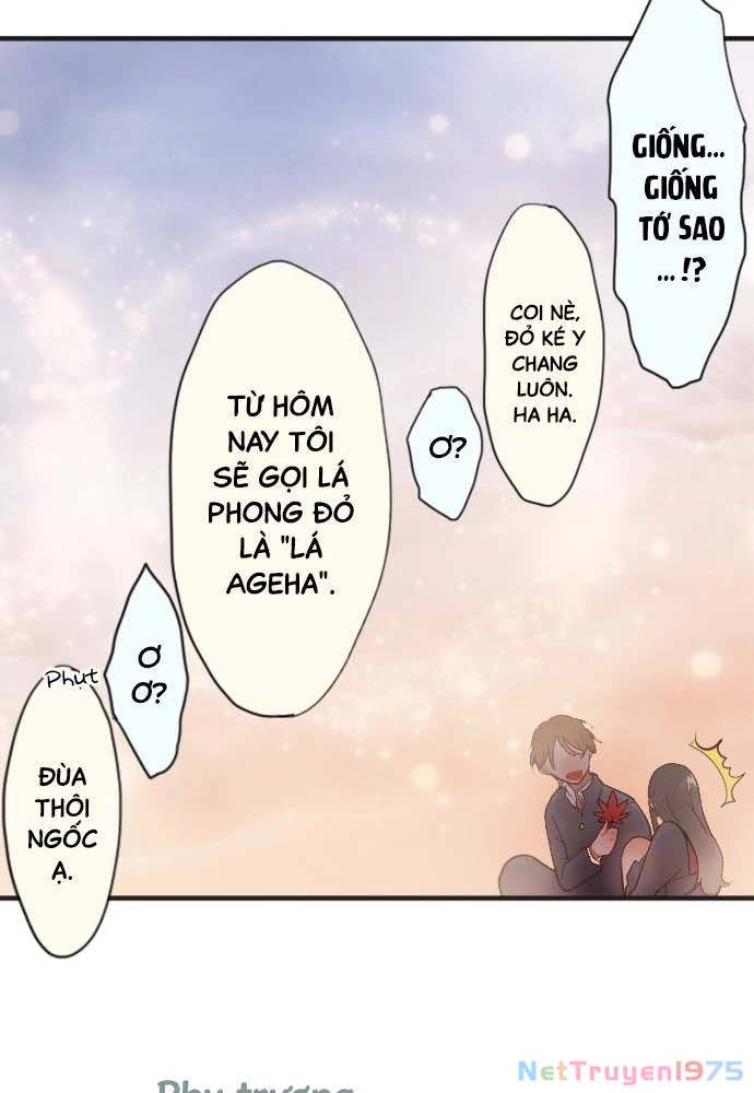 Hoa Cánh Sao Chapter 38.5 - Trang 2