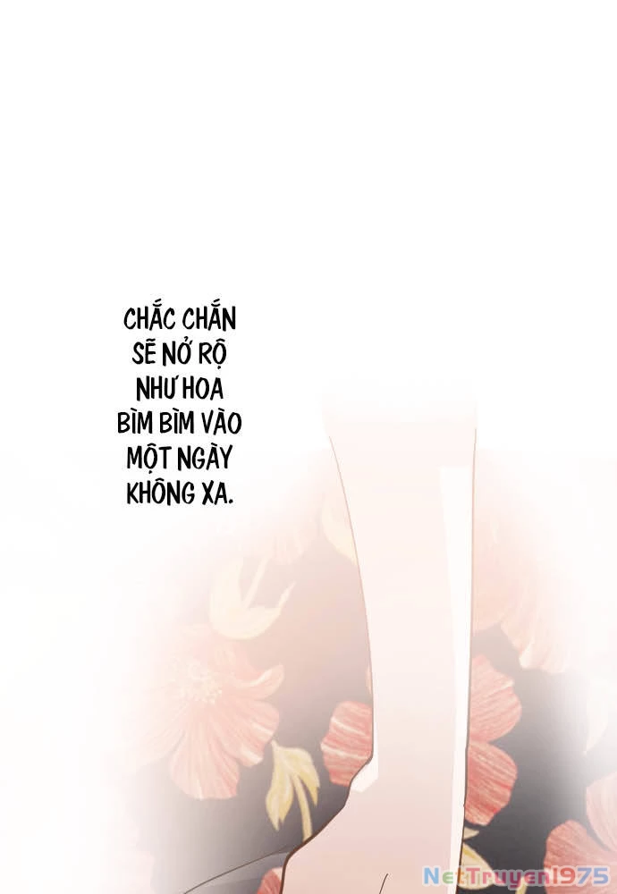 Hoa Cánh Sao Chapter 38 - Trang 2