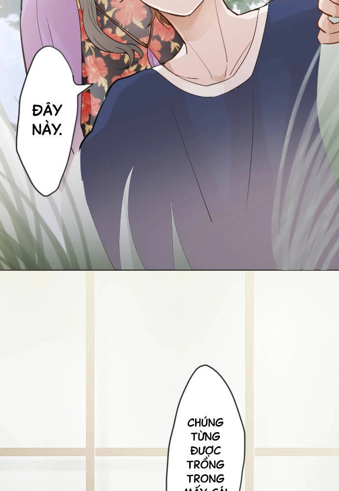 Hoa Cánh Sao Chapter 38 - Trang 2