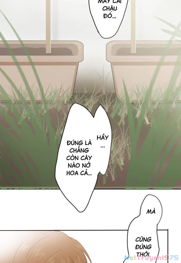 Hoa Cánh Sao Chapter 38 - Trang 2