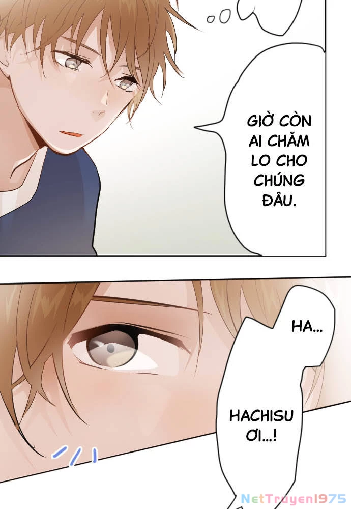 Hoa Cánh Sao Chapter 38 - Trang 2