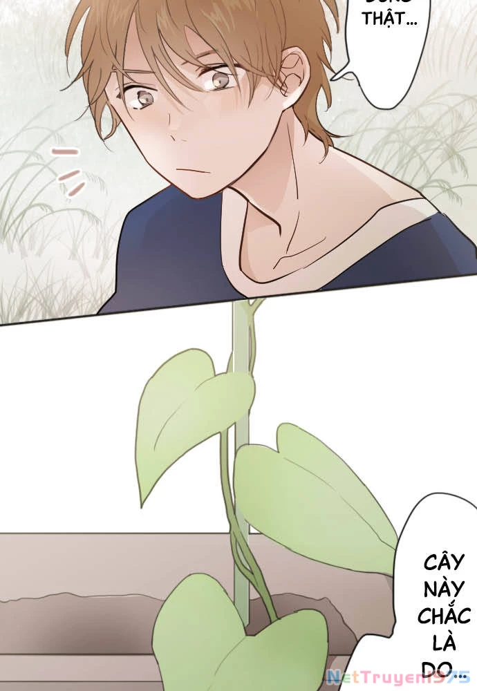 Hoa Cánh Sao Chapter 38 - Trang 2