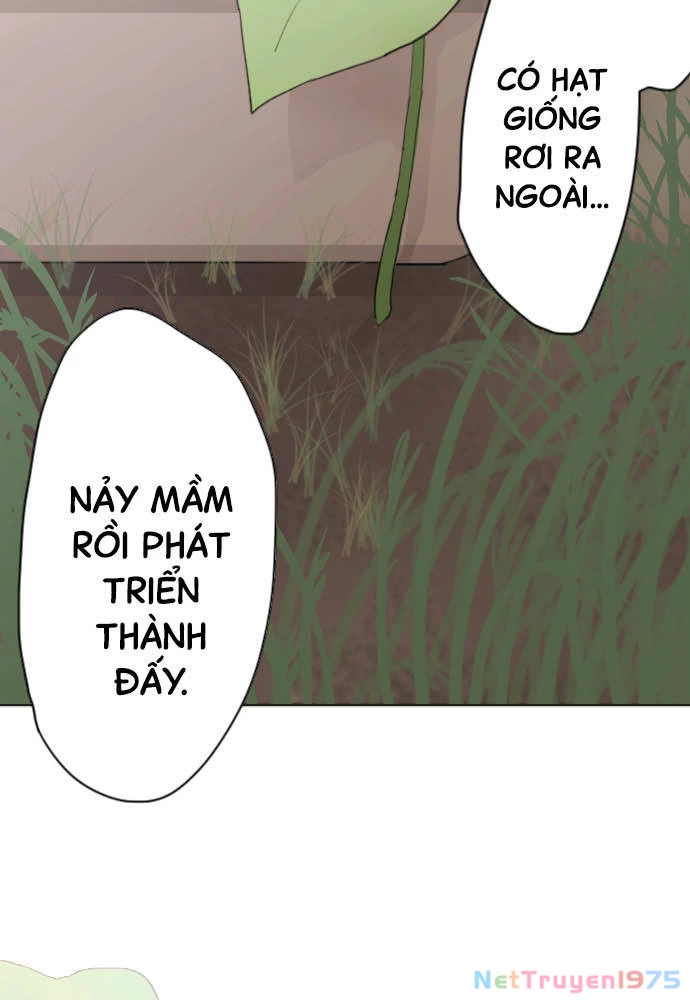 Hoa Cánh Sao Chapter 38 - Trang 2