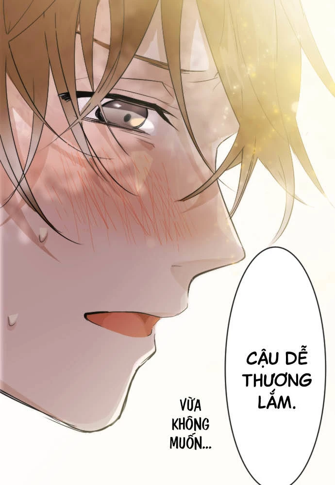 Hoa Cánh Sao Chapter 39 - Trang 2