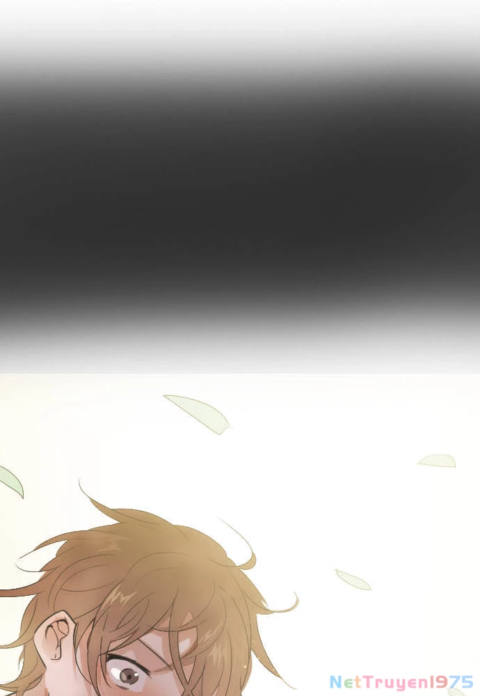 Hoa Cánh Sao Chapter 39 - Trang 2