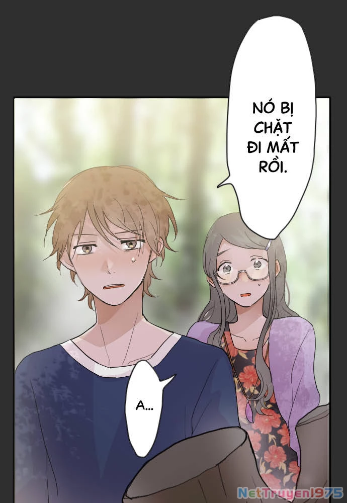 Hoa Cánh Sao Chapter 39 - Trang 2