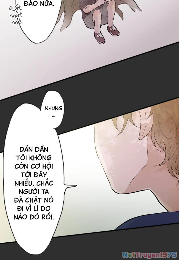 Hoa Cánh Sao Chapter 39 - Trang 2