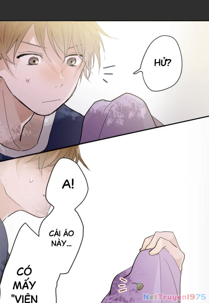 Hoa Cánh Sao Chapter 39 - Trang 2