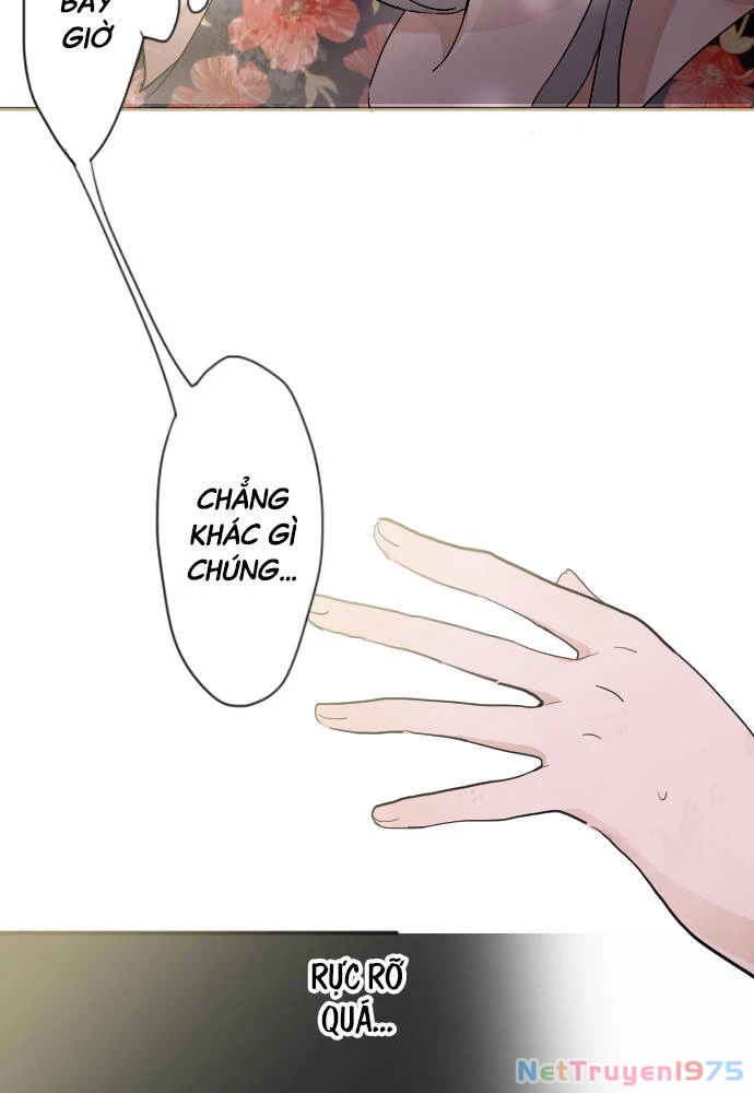 Hoa Cánh Sao Chapter 39 - Trang 2