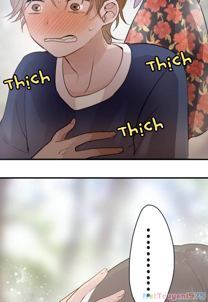 Hoa Cánh Sao Chapter 40 - Trang 2