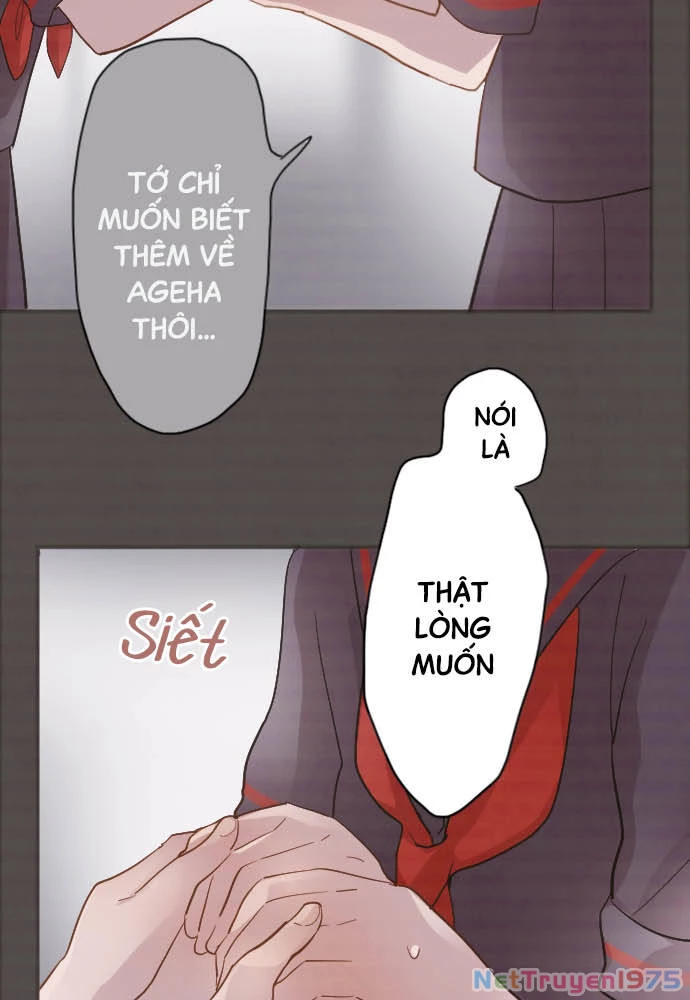 Hoa Cánh Sao Chapter 43 - Trang 2