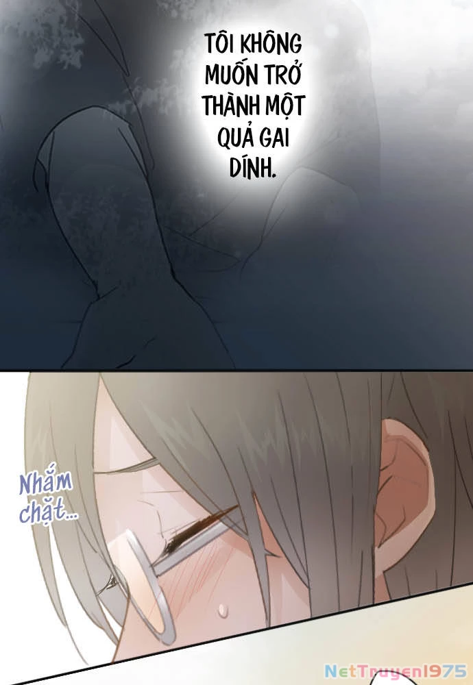 Hoa Cánh Sao Chapter 43 - Trang 2