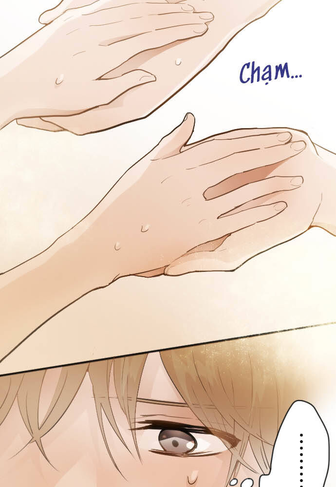 Hoa Cánh Sao Chapter 46 - Trang 2
