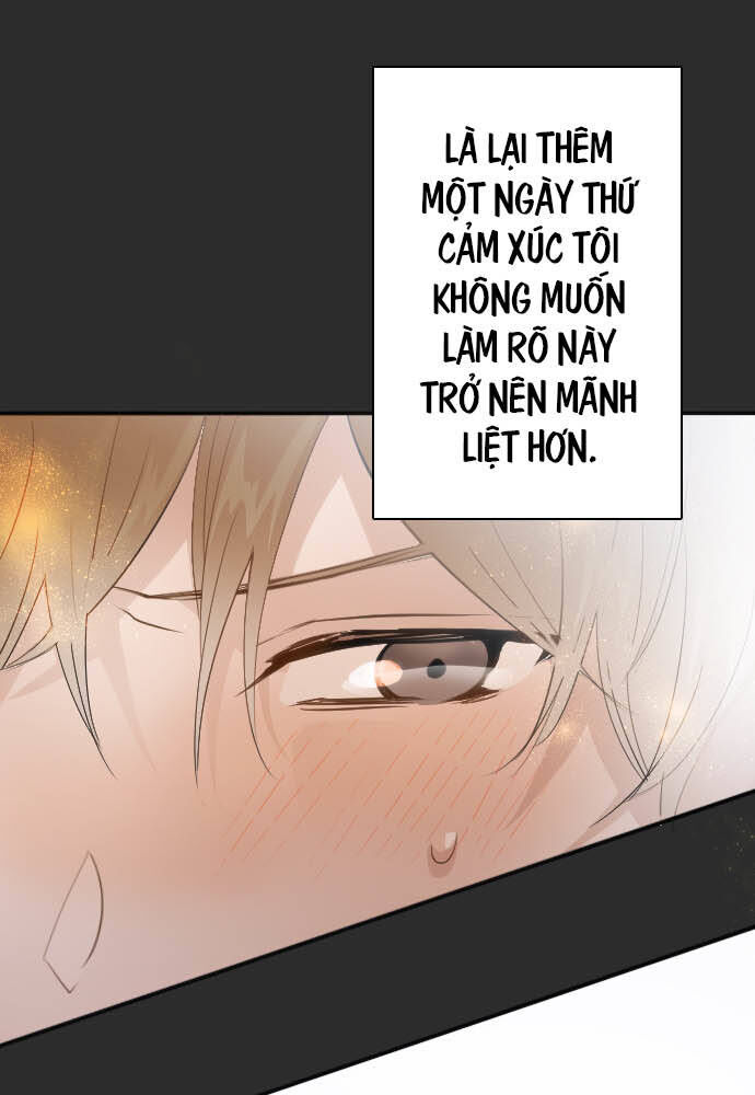 Hoa Cánh Sao Chapter 46 - Trang 2