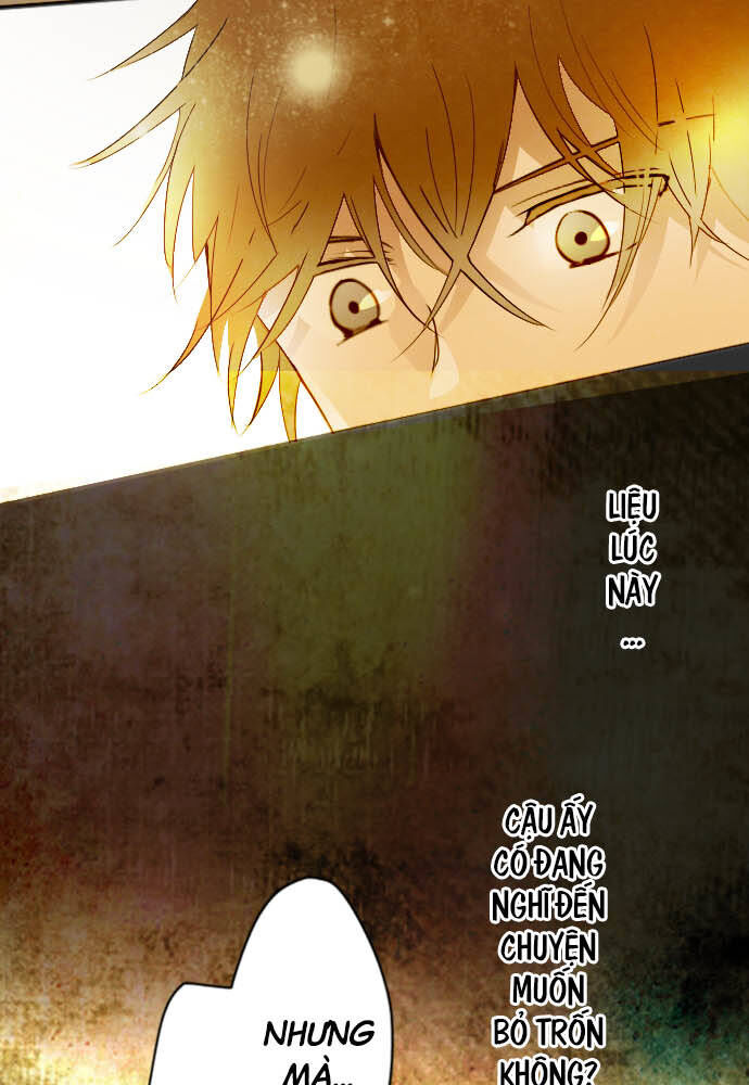 Hoa Cánh Sao Chapter 48 - Trang 2