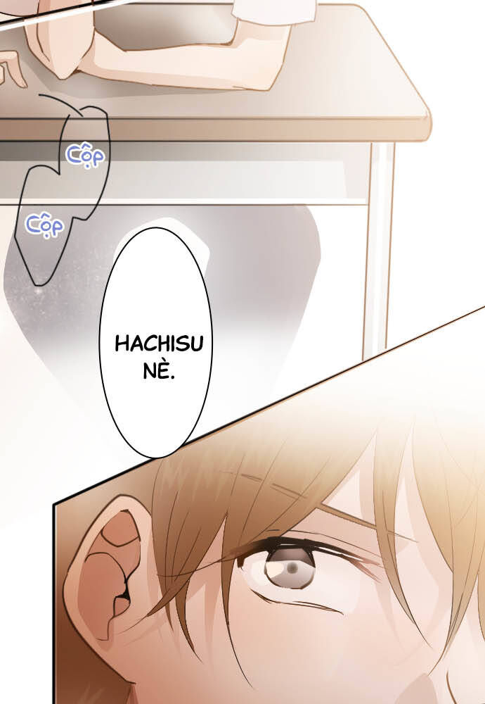 Hoa Cánh Sao Chapter 49 - Trang 2