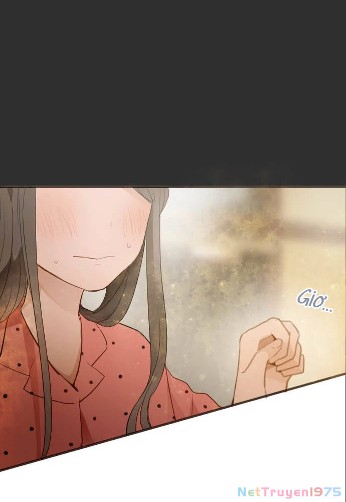 Hoa Cánh Sao Chapter 53 - Trang 2