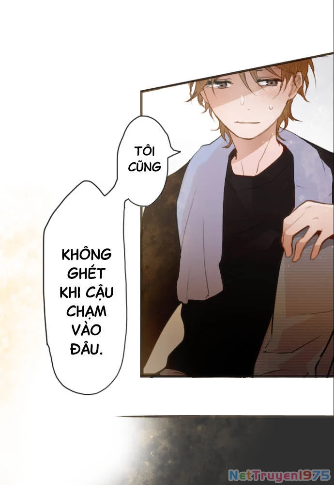 Hoa Cánh Sao Chapter 53 - Trang 2