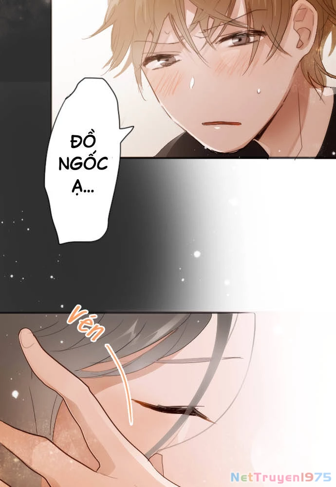 Hoa Cánh Sao Chapter 53 - Trang 2