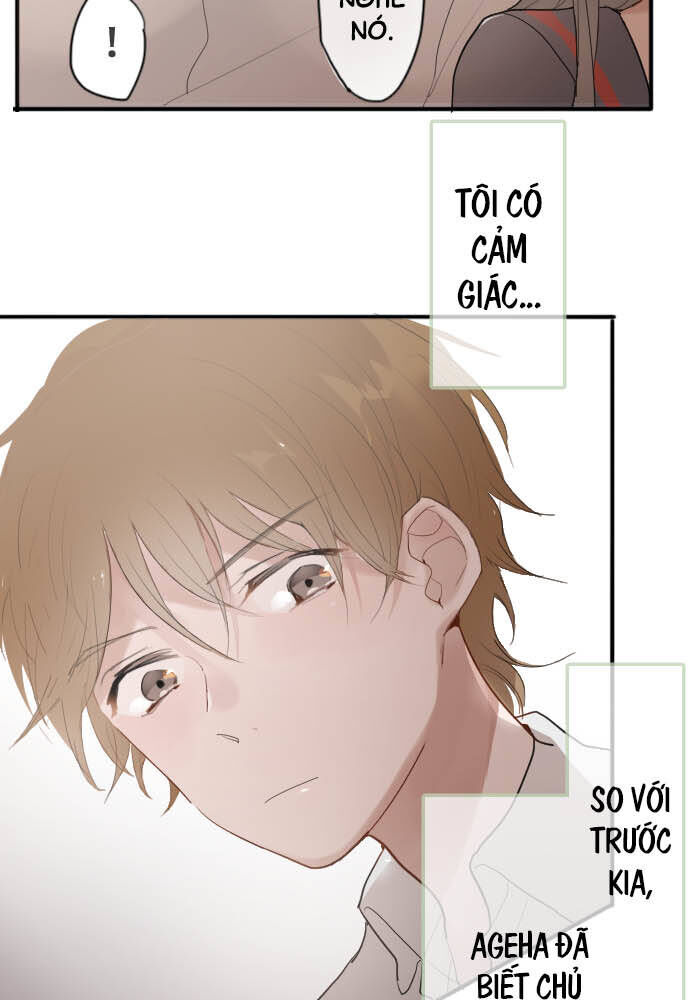 Hoa Cánh Sao Chapter 58 - Trang 2